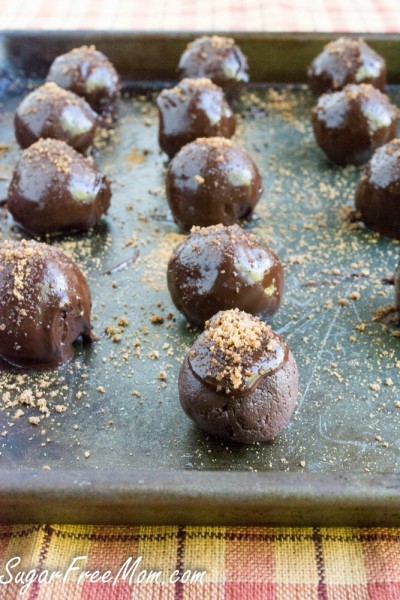 chocolate pumpkin truffles1 (1 of 1)