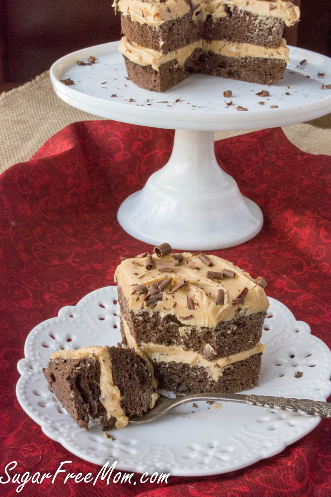 chocolate peanut butter mug cake4 (1 of 1)